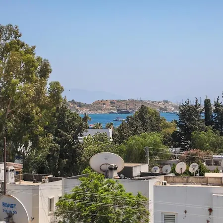 بيت ضيافة Vava